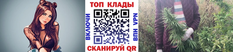 Где купить Шенкурск КОКАИН МАРИХУАНА Меф мяу мяу Codein ГАШИШ