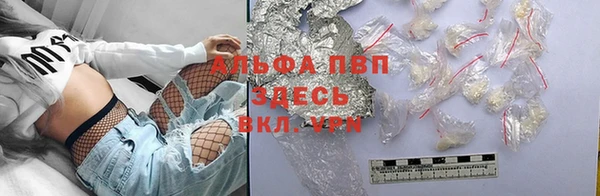 ПСИЛОЦИБИНОВЫЕ ГРИБЫ Инта