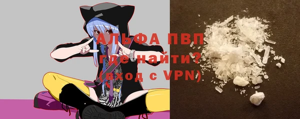 ПСИЛОЦИБИНОВЫЕ ГРИБЫ Инта