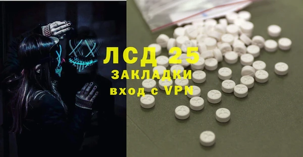 ПСИЛОЦИБИНОВЫЕ ГРИБЫ Инта