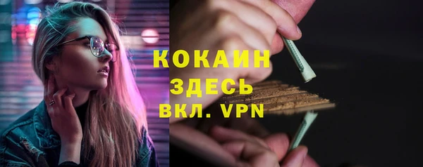 ПСИЛОЦИБИНОВЫЕ ГРИБЫ Инта