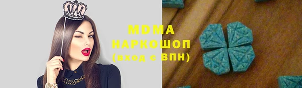 ПСИЛОЦИБИНОВЫЕ ГРИБЫ Инта