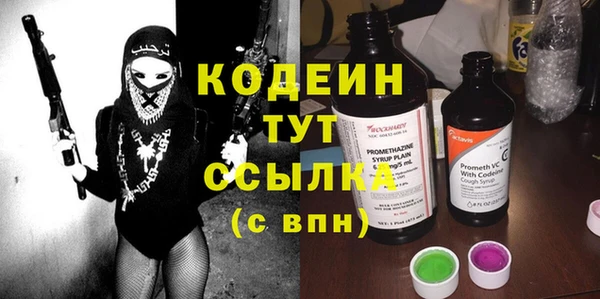 ПСИЛОЦИБИНОВЫЕ ГРИБЫ Инта
