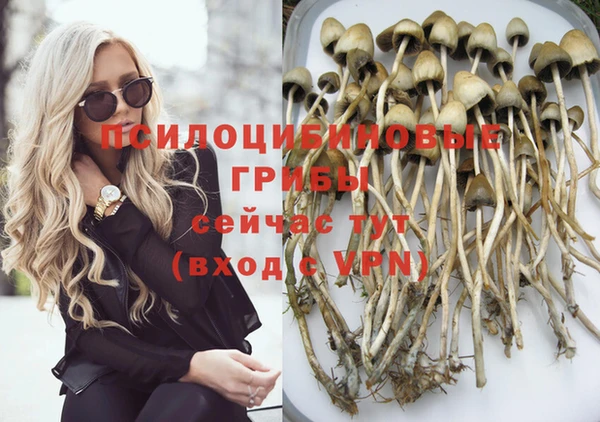 ПСИЛОЦИБИНОВЫЕ ГРИБЫ Инта