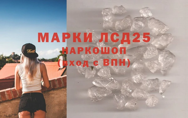 ПСИЛОЦИБИНОВЫЕ ГРИБЫ Инта