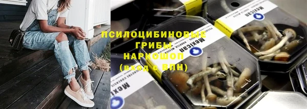 PSILOCYBIN Иннополис