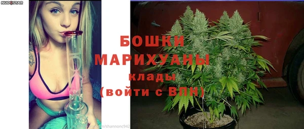 PSILOCYBIN Иннополис