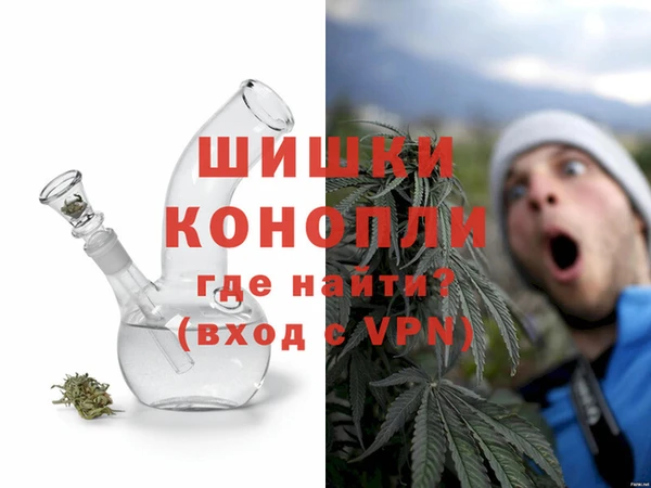 ПСИЛОЦИБИНОВЫЕ ГРИБЫ Инта