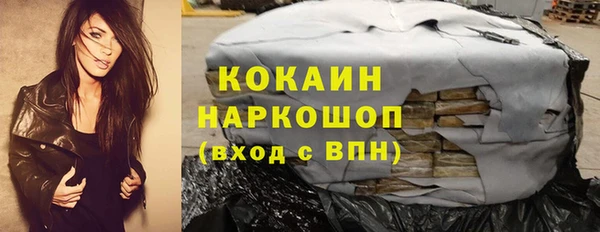 ПСИЛОЦИБИНОВЫЕ ГРИБЫ Инта