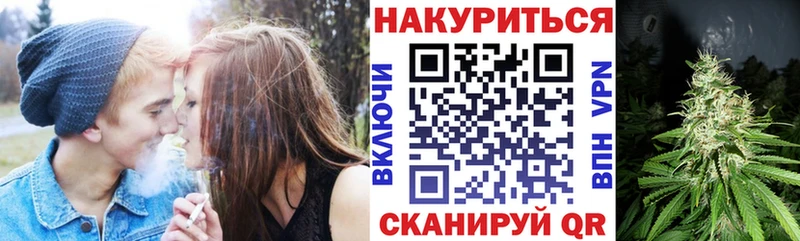 Шишки марихуана марихуана Шенкурск
